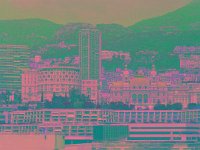 IMGP2804 edited (Medium)